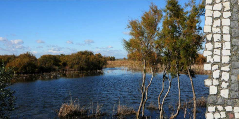 Parque Natural Doñana